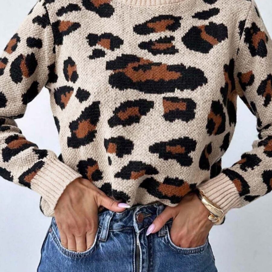 Colorblock Leopard Crewneck Sweater